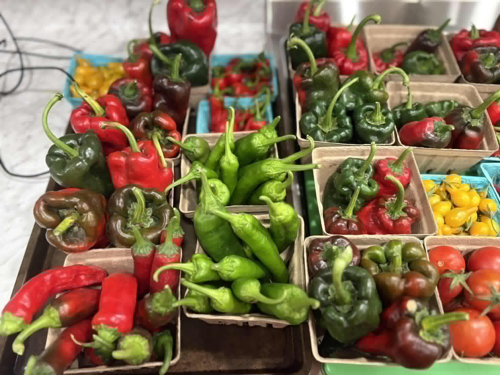 Stone family opens White Rock farm stand with fresh local goods