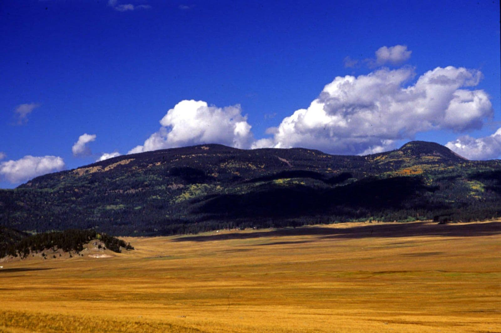 PEEC Hosts USGS Ecologist for Free Talk on Jemez Mountains Fire Ecology