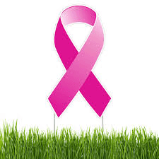 White Rock yard sale to support breast cancer research, May 15-16