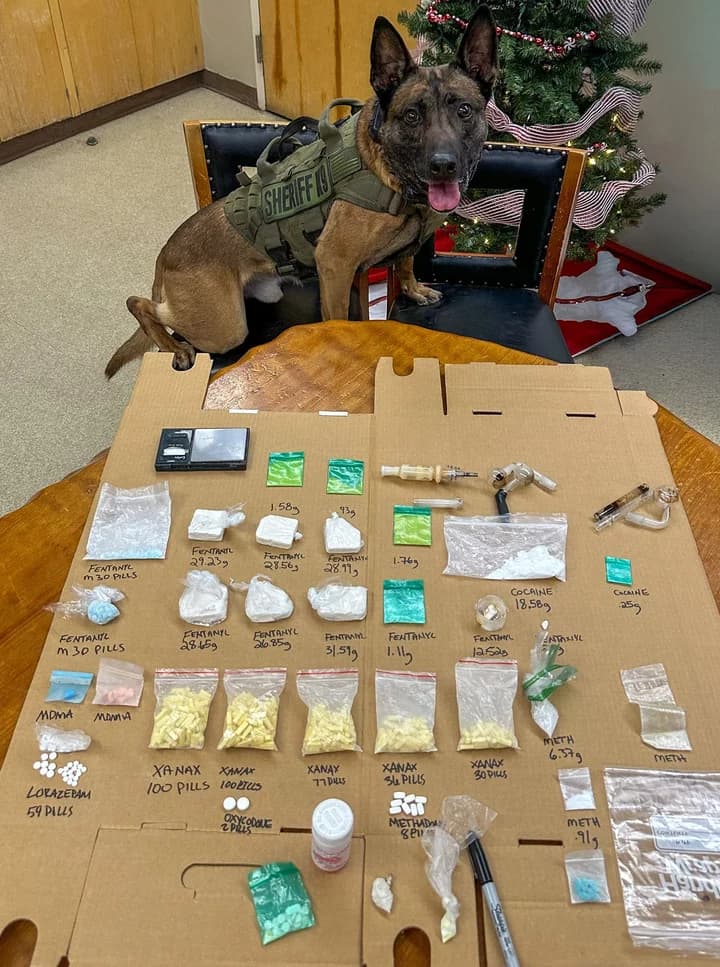 Major Drug Seizure on Highway 101 Near Salmon Creek Road