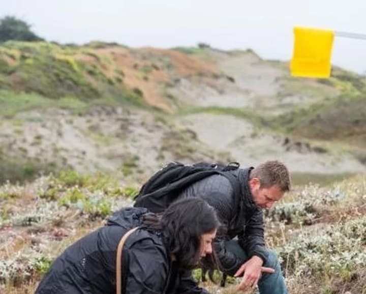 California has lost 60% of its coastal dunes, Humboldt included