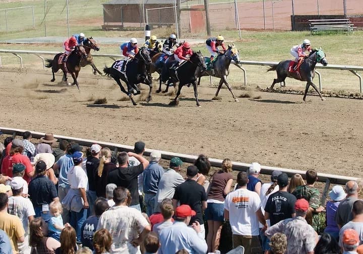 CHRB again rejects 2026 proposal to bring live racing back to Humboldt