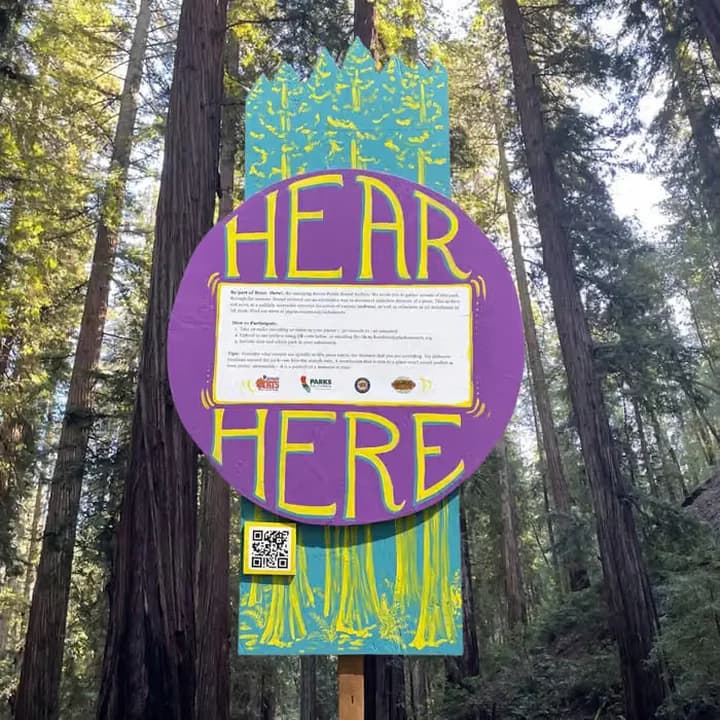 Playhouse Arts asks Arcata residents to imagine park sounds