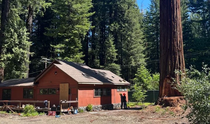 Humboldt delays Lower Redway redwood report until permit review completes