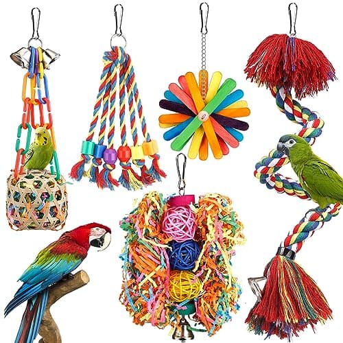 Why Parrots Scream, and How Owners Can Reduce It