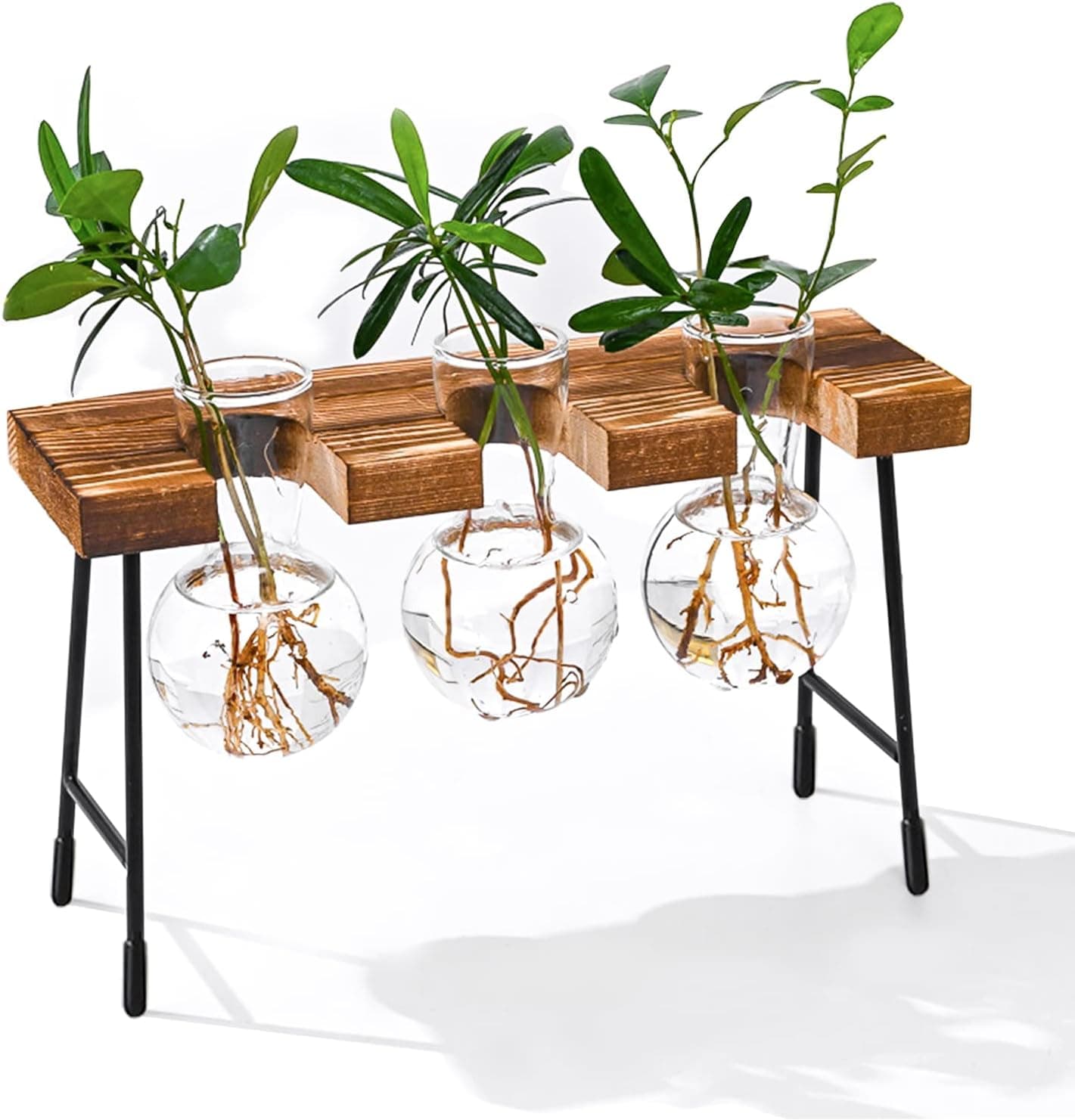 Walmart's $13 Hyindoor Propagation Station Touted as Super-Cute Spring Gift