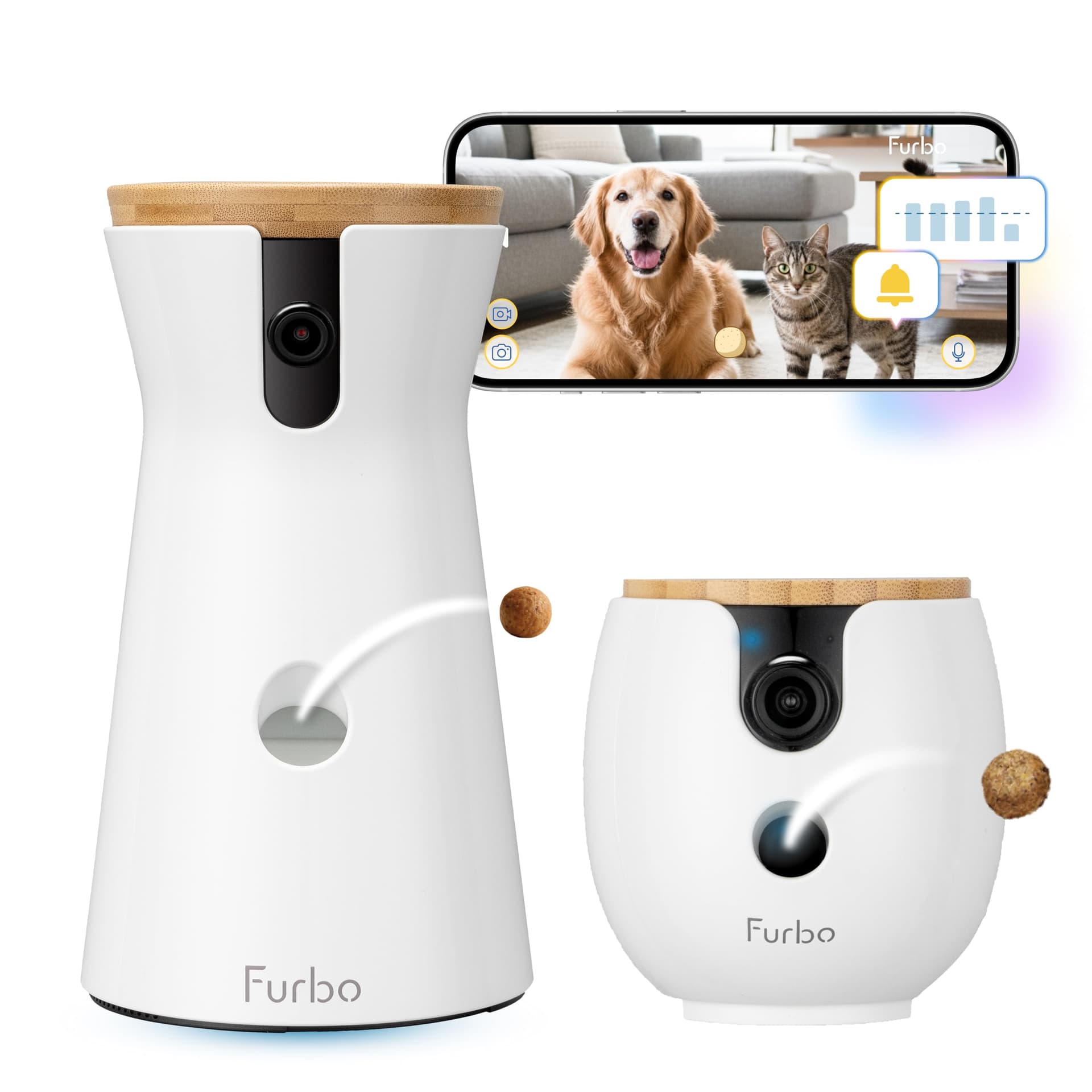 Thoughtful housewarming gifts for pet parents moving with cats or dogs