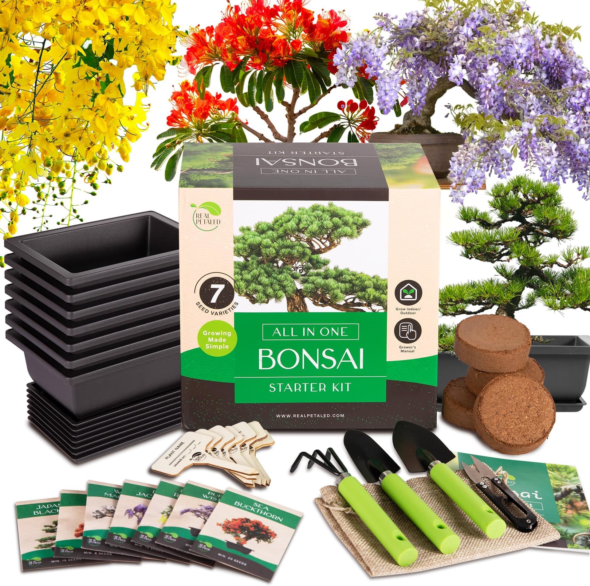 Essential Bonsai Tools You Need and When to Use Them