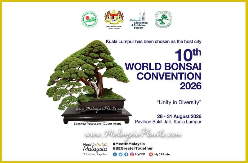 World Bonsai Convention 2026 Heads to Kuala Lumpur Under Unity in Diversity