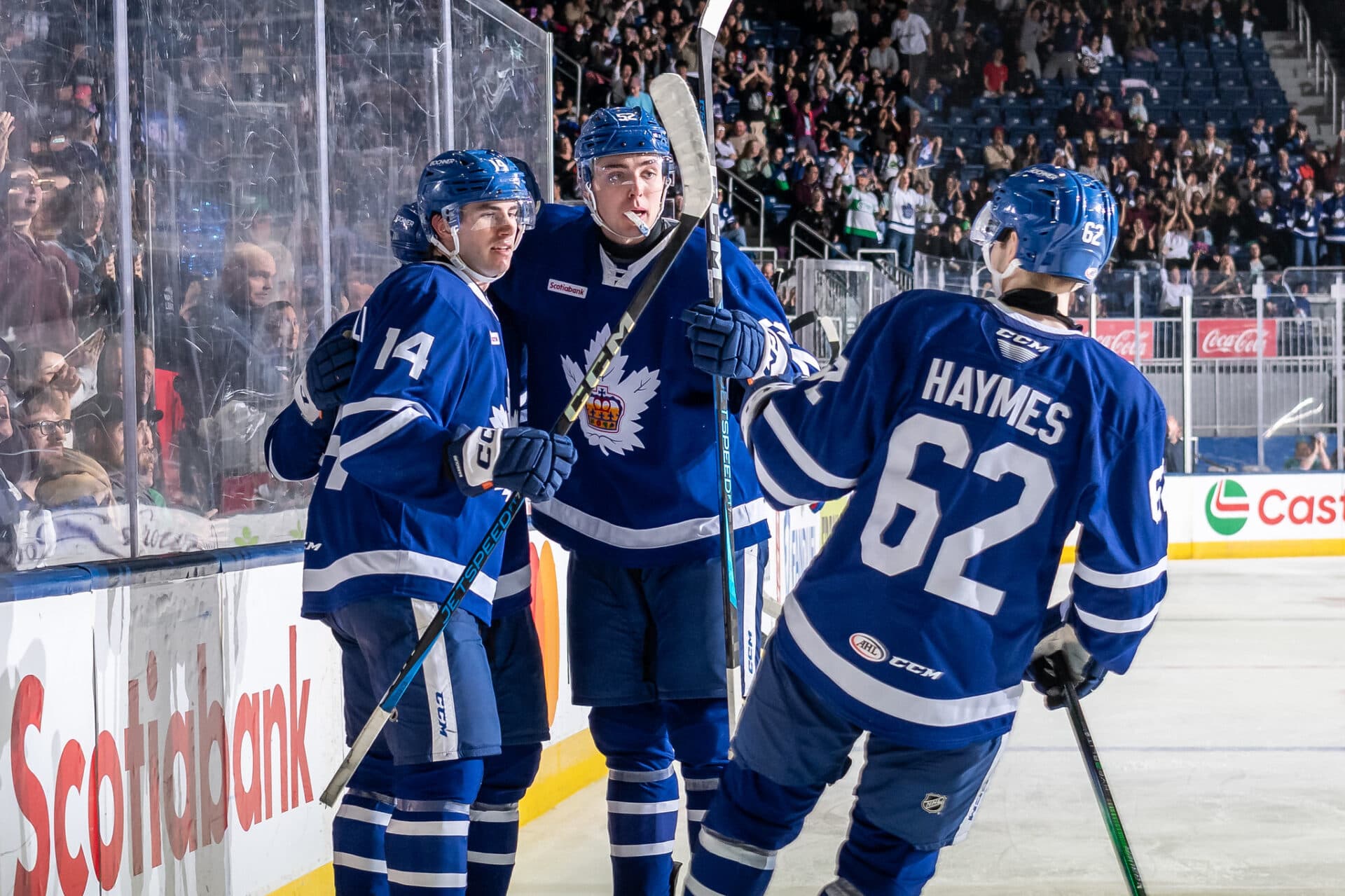Luke Haymes Lights Up Laval as Toronto Marlies Take 4-1 Win