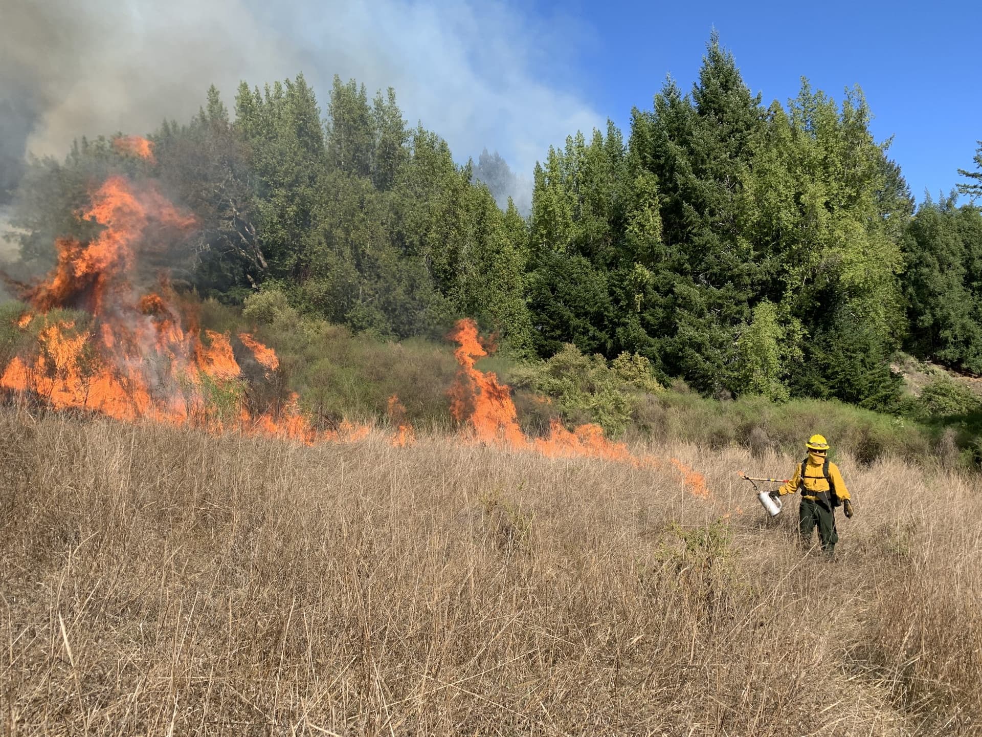Montezuma County Hosts Wildfire Meeting as Officials Warn of Early Season