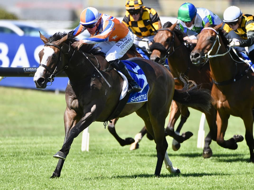 Juvenile Lara Antipova Dominates Sistema Stakes at Ellerslie, Extends Unbeaten Streak