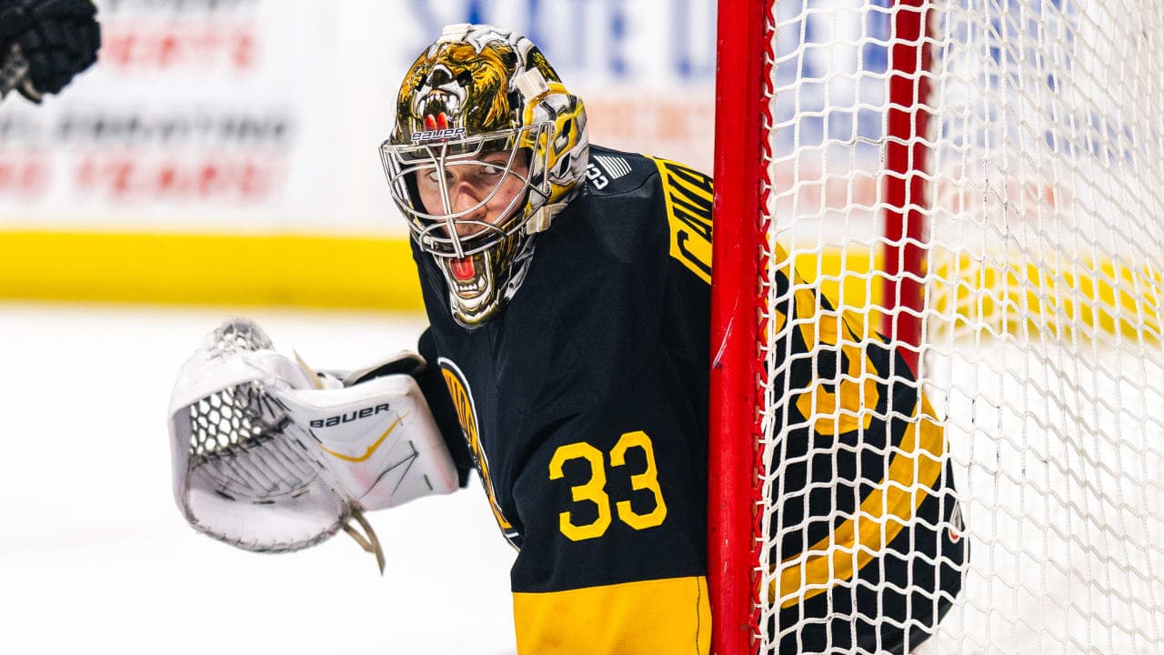 Bruins extend Luke Cavallin, keep affordable goaltending depth in system