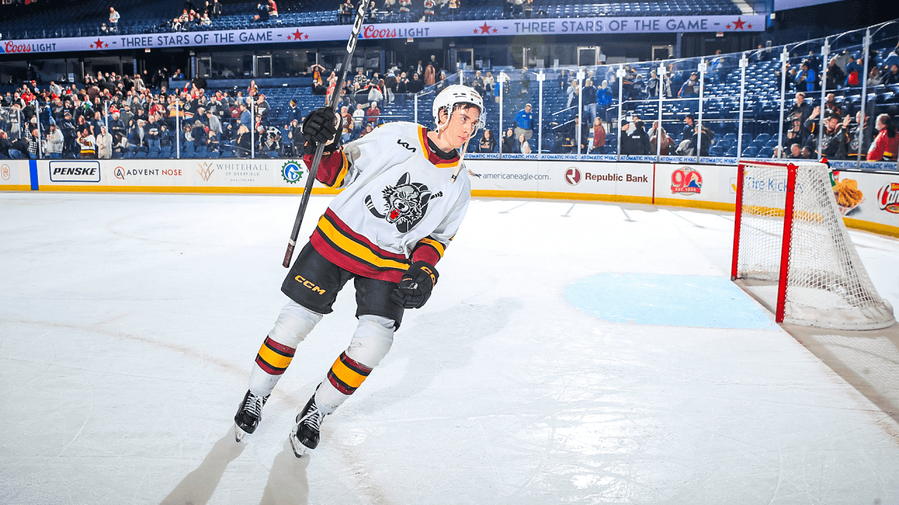 Hurricanes send six players to Chicago, boosting Wolves with NHL talent