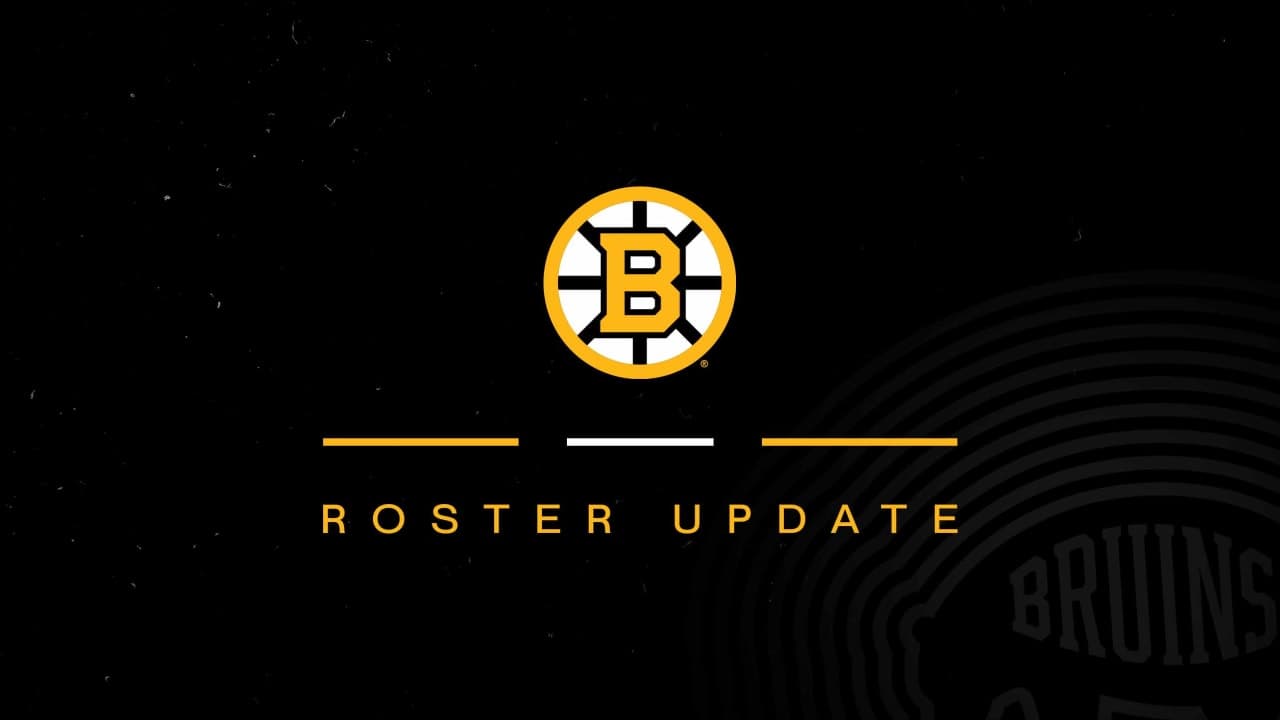 Bruins Reassign Michael DiPietro to Providence After Olympic Emergency Recall