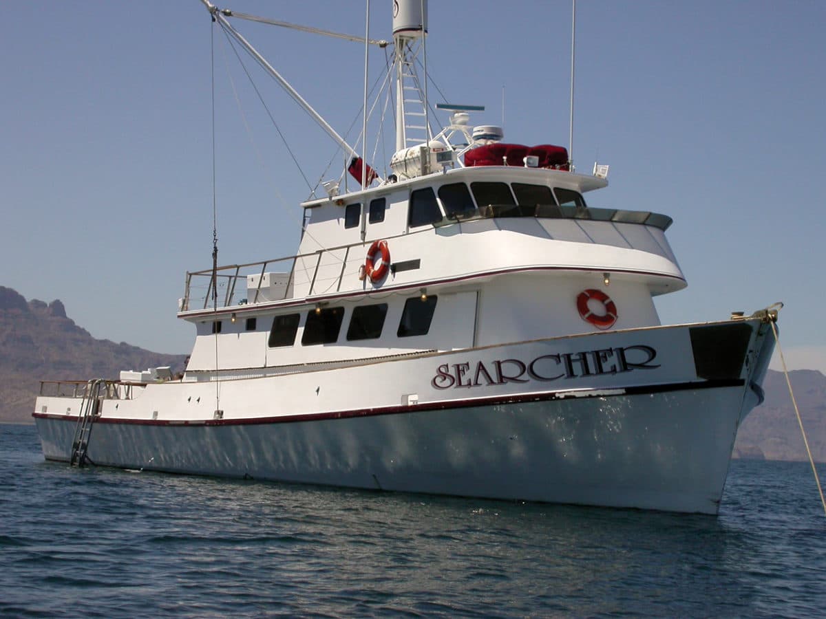 Long-Range Fleet Off San Diego Lands Few Trophy Tuna, Solid Yellowtail