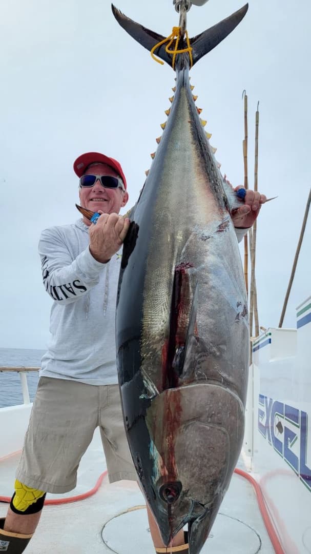 BluefinTuna.org Tracks Daily Boat-Level Encounters for Anglers and Researchers