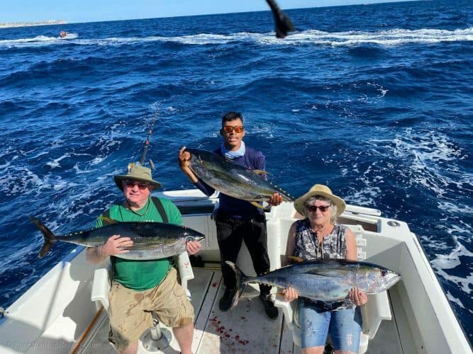 El Budster Pride Lands Eight 35-40 lb Yellowfin Off Cabo San Lucas