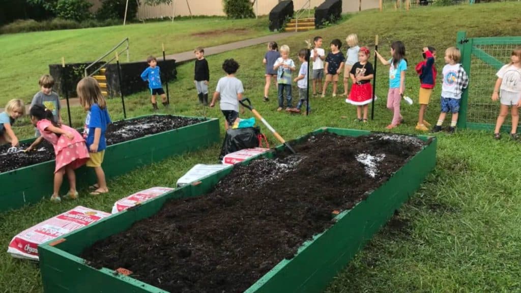 Kauai residents eligible for $5,000 Micro-Grant for Food Security