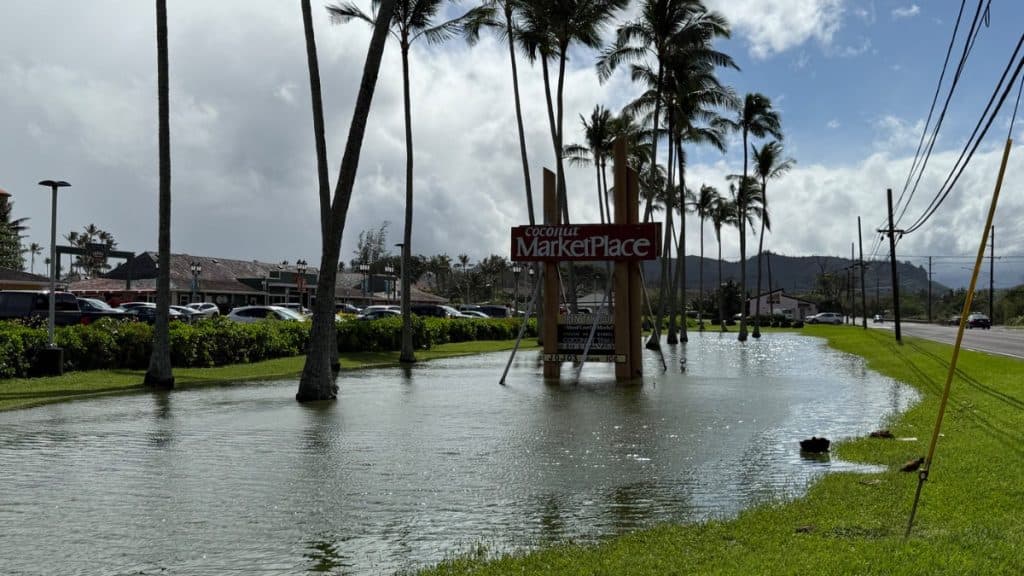 Heavy Rains Trigger 286,000-Gallon Wastewater Spill at Waimea Plant