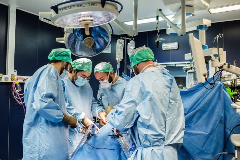 CAR-T therapy enables kidney transplants for highly sensitized patients
