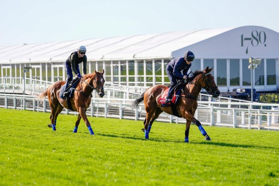 Legacy Link impresses in Epsom gallop, boosts Oaks hopes
