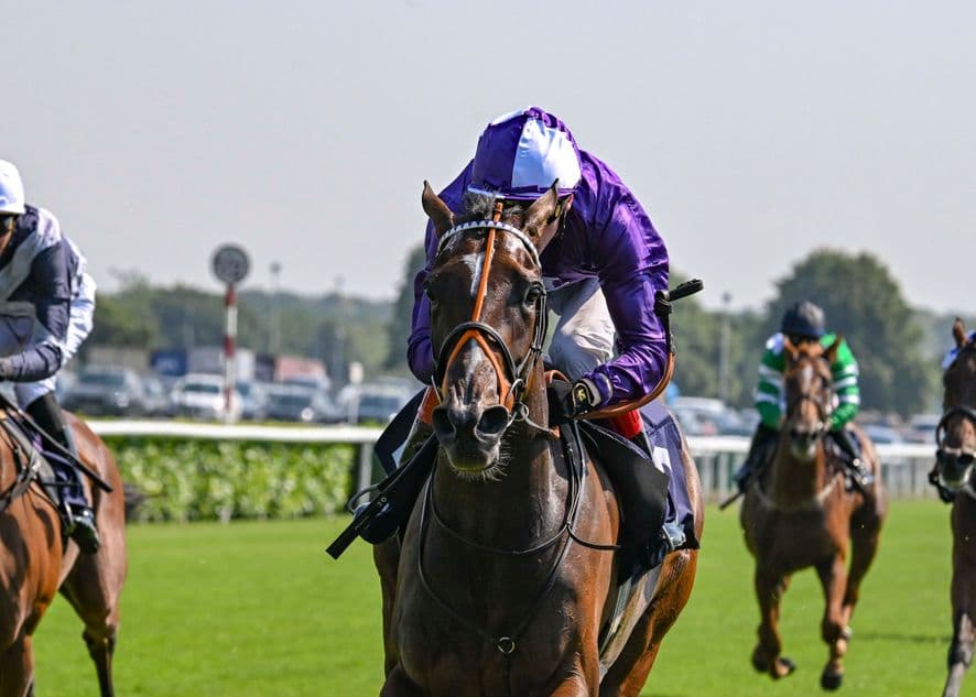 Alpinara breaks maiden at Doncaster after 2.5 million guineas purchase
