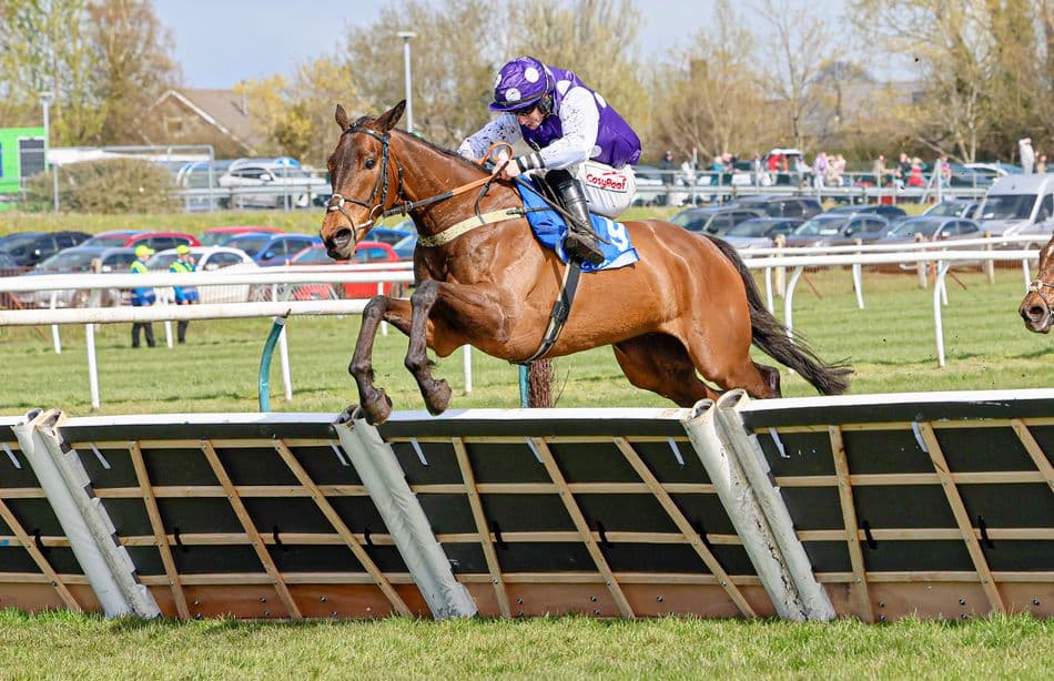 Dedicated Hero delivers breakthrough Scottish Champion Hurdle win for Sandy Thomson