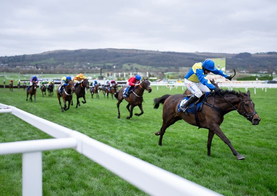 Langer Dan dies suddenly, leaves Cheltenham Coral Cup legacy