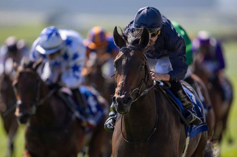 Abraham Lincoln impresses on Curragh debut, cut for 2,000 Guineas