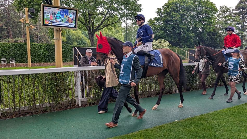 Bond Thoroughbred buys unbeaten Concorde Agreement ahead of Prix de Diane
