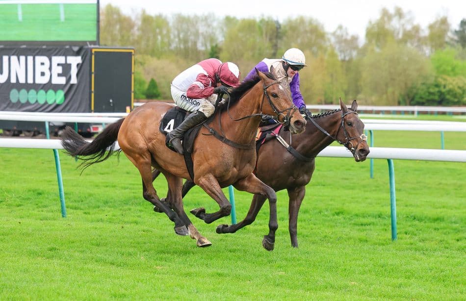 Riskintheground defends Silver Trophy at Haydock, seals back-to-back win