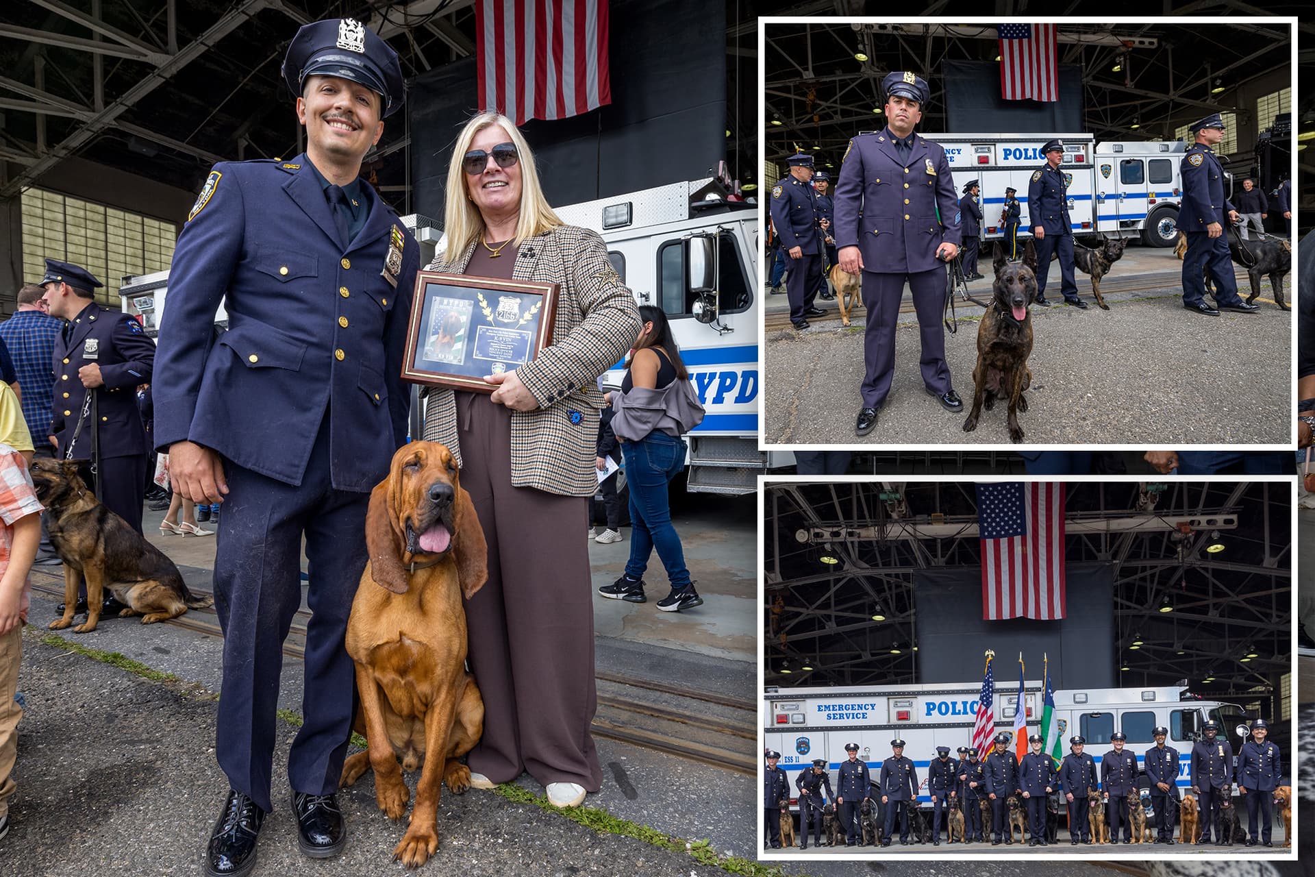 NYPD graduates nearly two dozen K-9s for elite duty