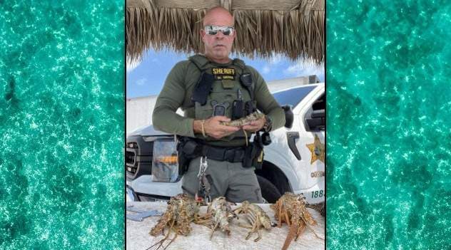Monroe County deputy cites man for illegal lobster harvest