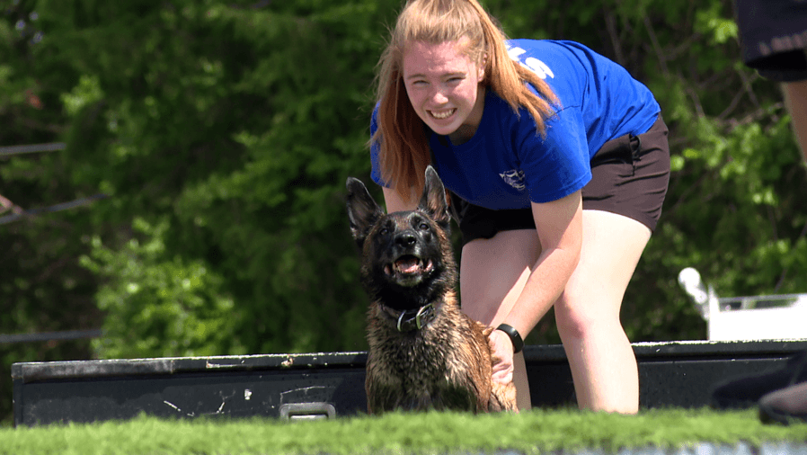 Canine Camp Getaway packs agility, dock jumping and scent work