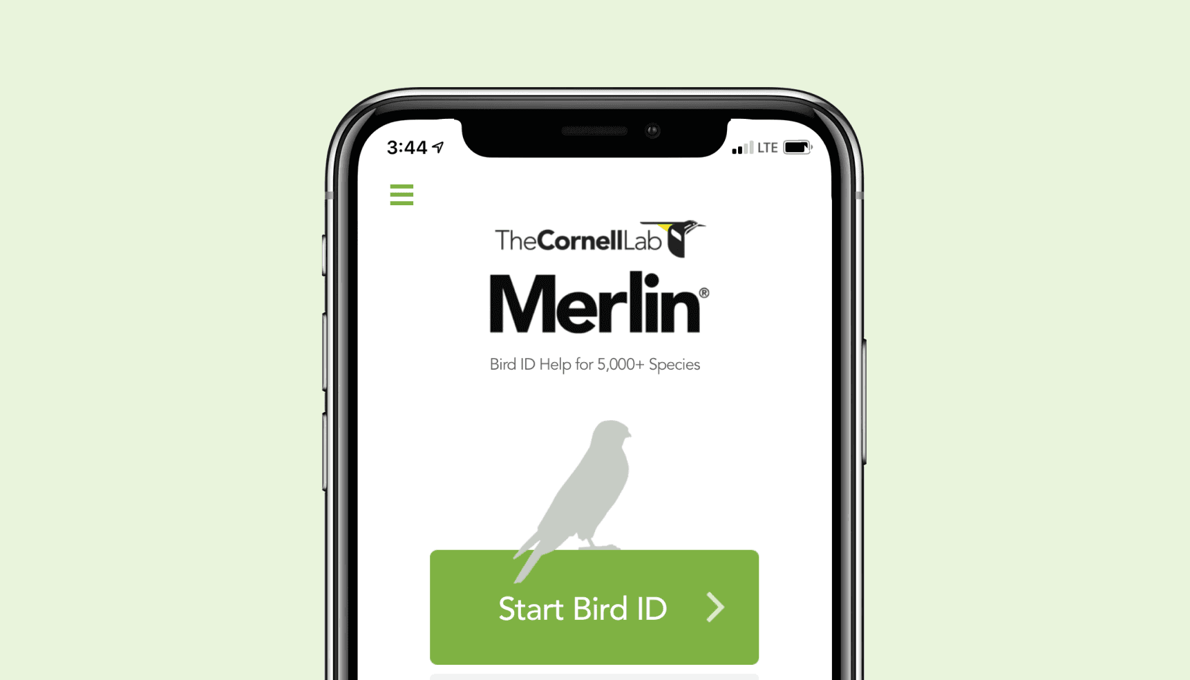 Colombia uses birding app Merlin to boost avian tourism