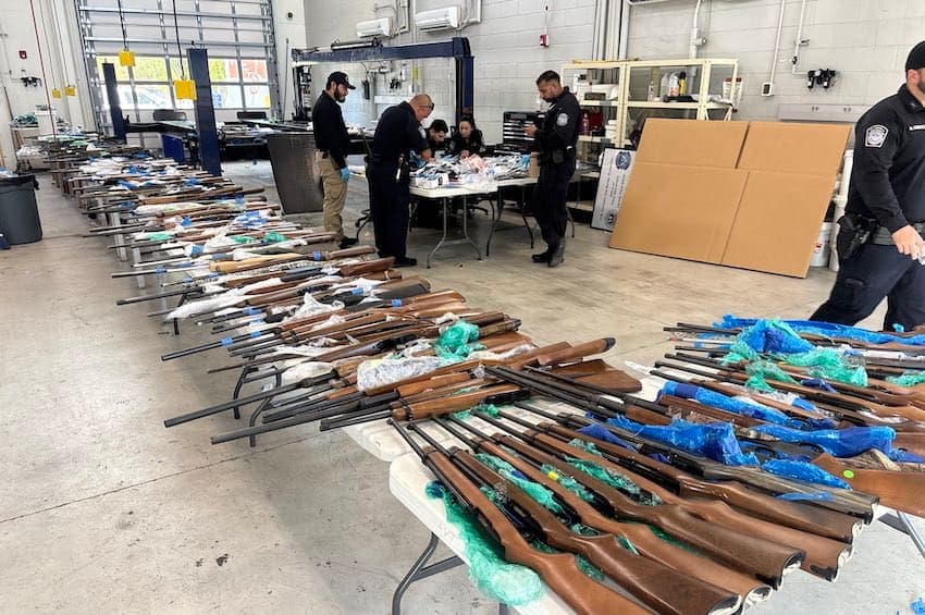 Mexico arrests cartel leader, seizes guns, cash, vehicles, seven tigers