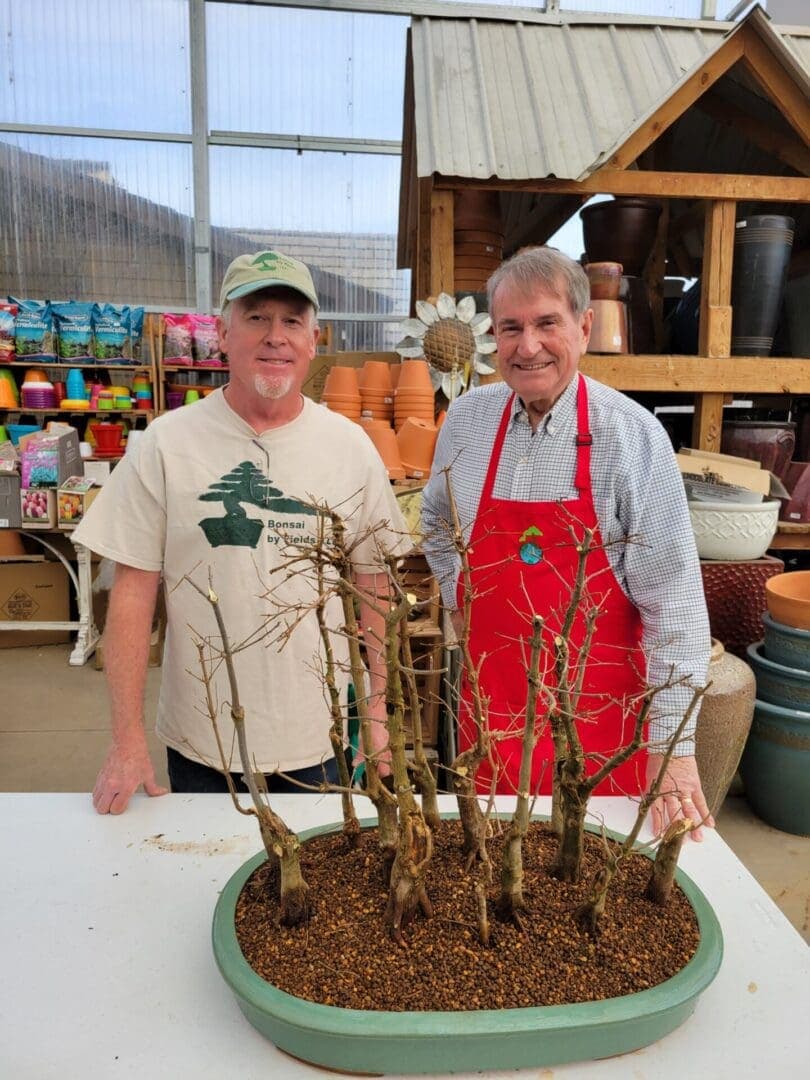 Michiana Bonsai Study to host hands-on repotting and wiring session