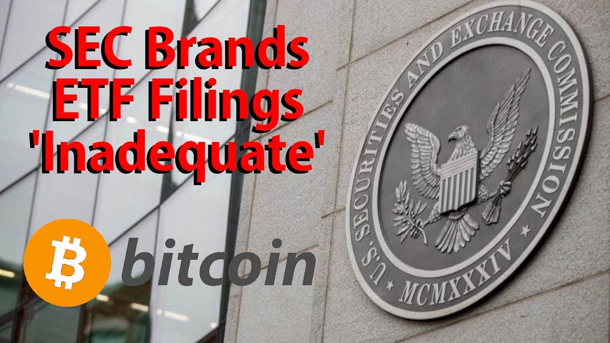 SEC Pauses Review of New Highly Leveraged ETFs, Citing Risk