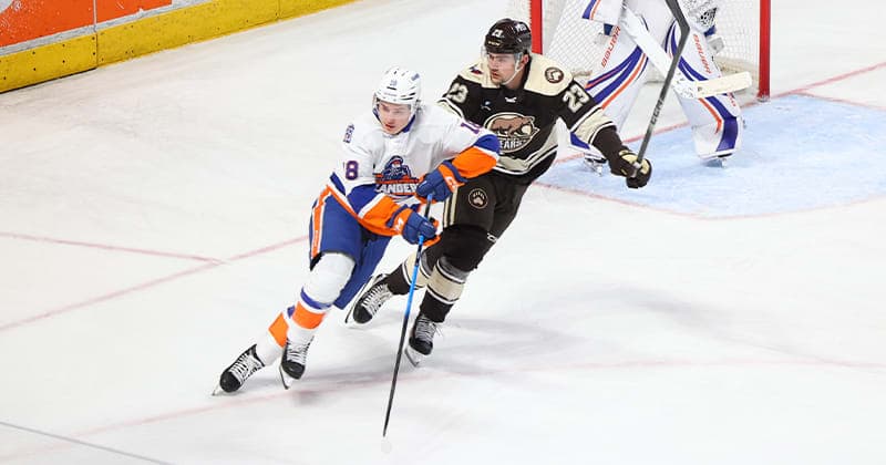 Hershey Bears Host Bridgeport In Key Home-And-Home Series With Playoffs Looming