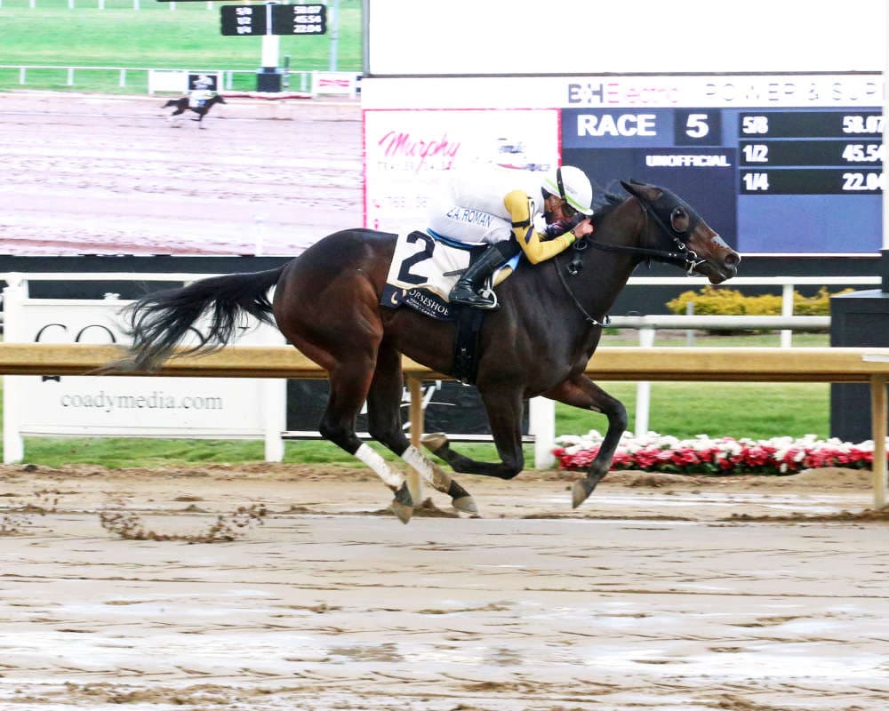 Tigrado gives Nashville first winner in five-length Horseshoe Indianapolis romp