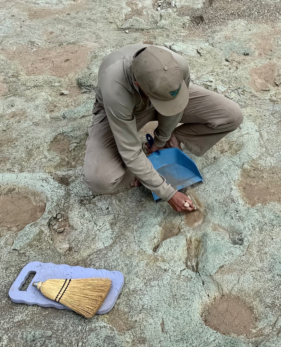 BLM Paleontologist Emily Lessner Teaches Public to Read Fossil Landscapes