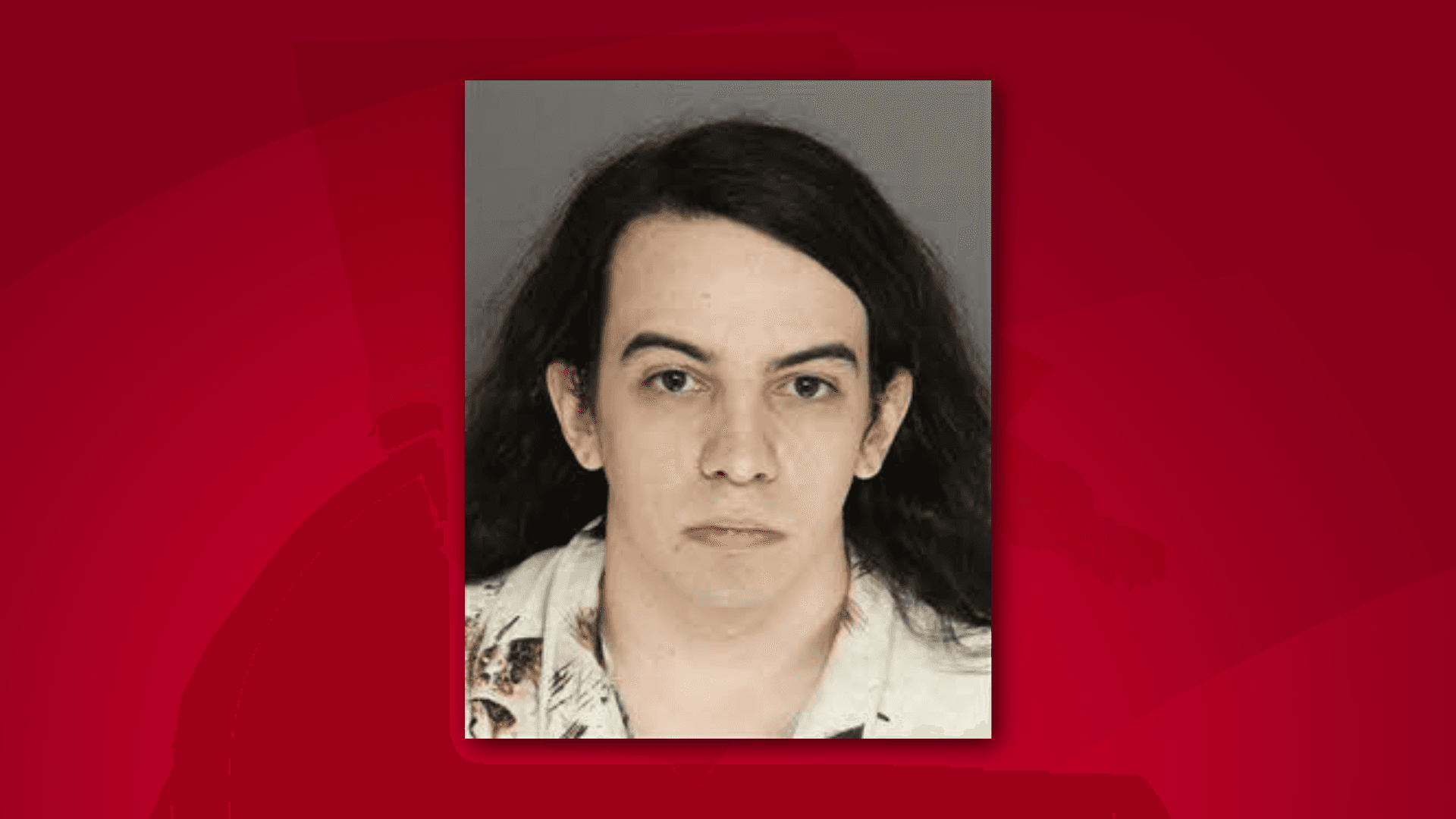 Kerhonkson Teen Faces 20 Felony Counts of Child Sexual Exploitation