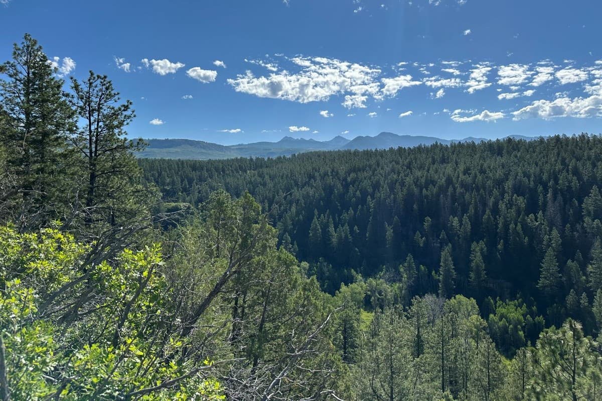 Montezuma Land Conservancy Completes Five-Mile West Mancos River Conservation Corridor