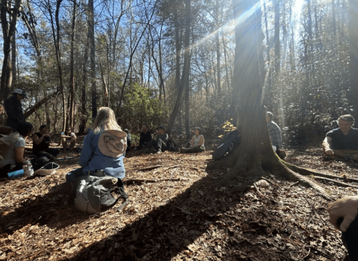 Asheville Launches Urban Forest Master Plan Engagement, Announces March 21 Workshop