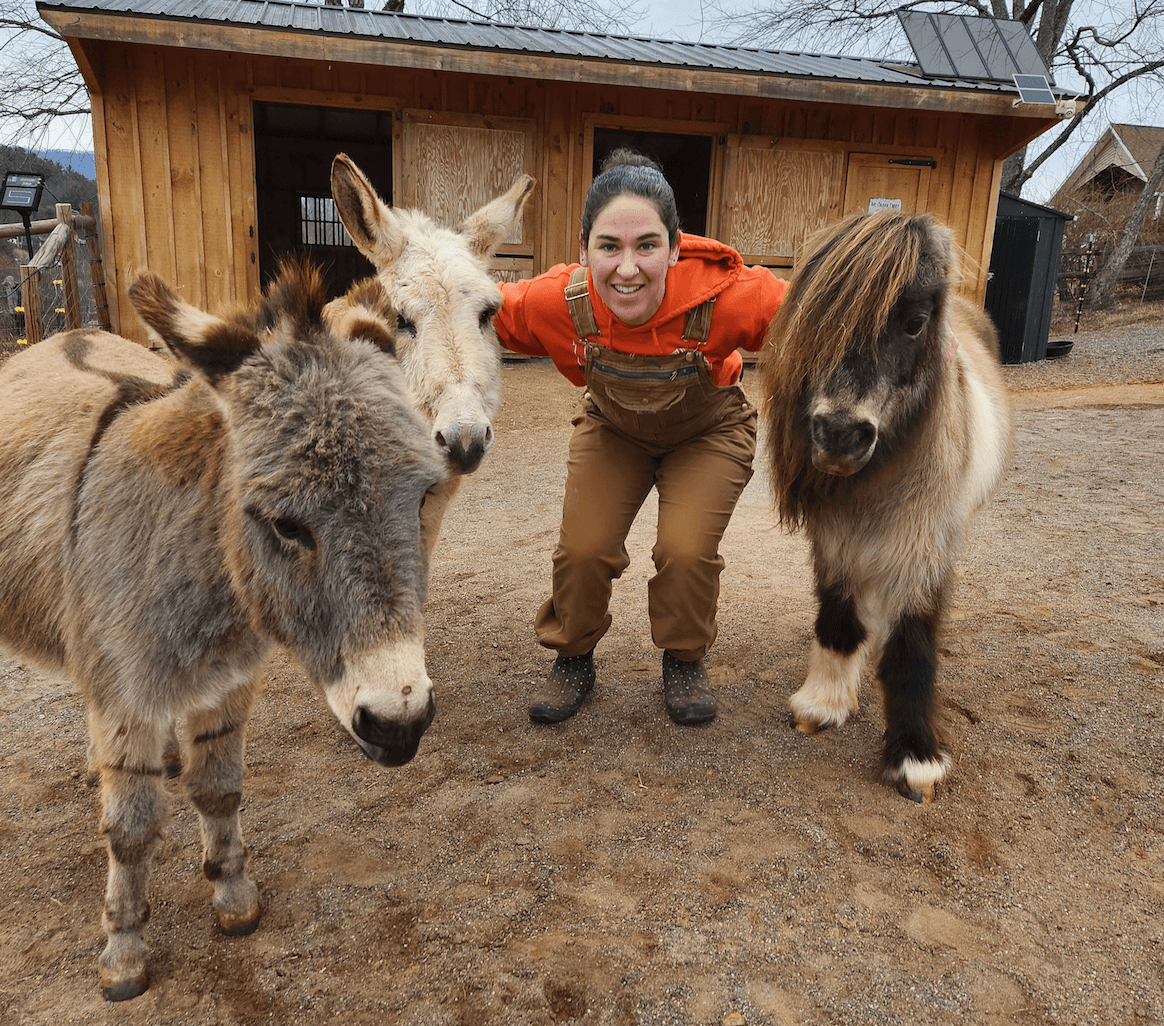 Leicester's Beautiful Chaos Co-Founder to Run 30.4 Miles for Animals