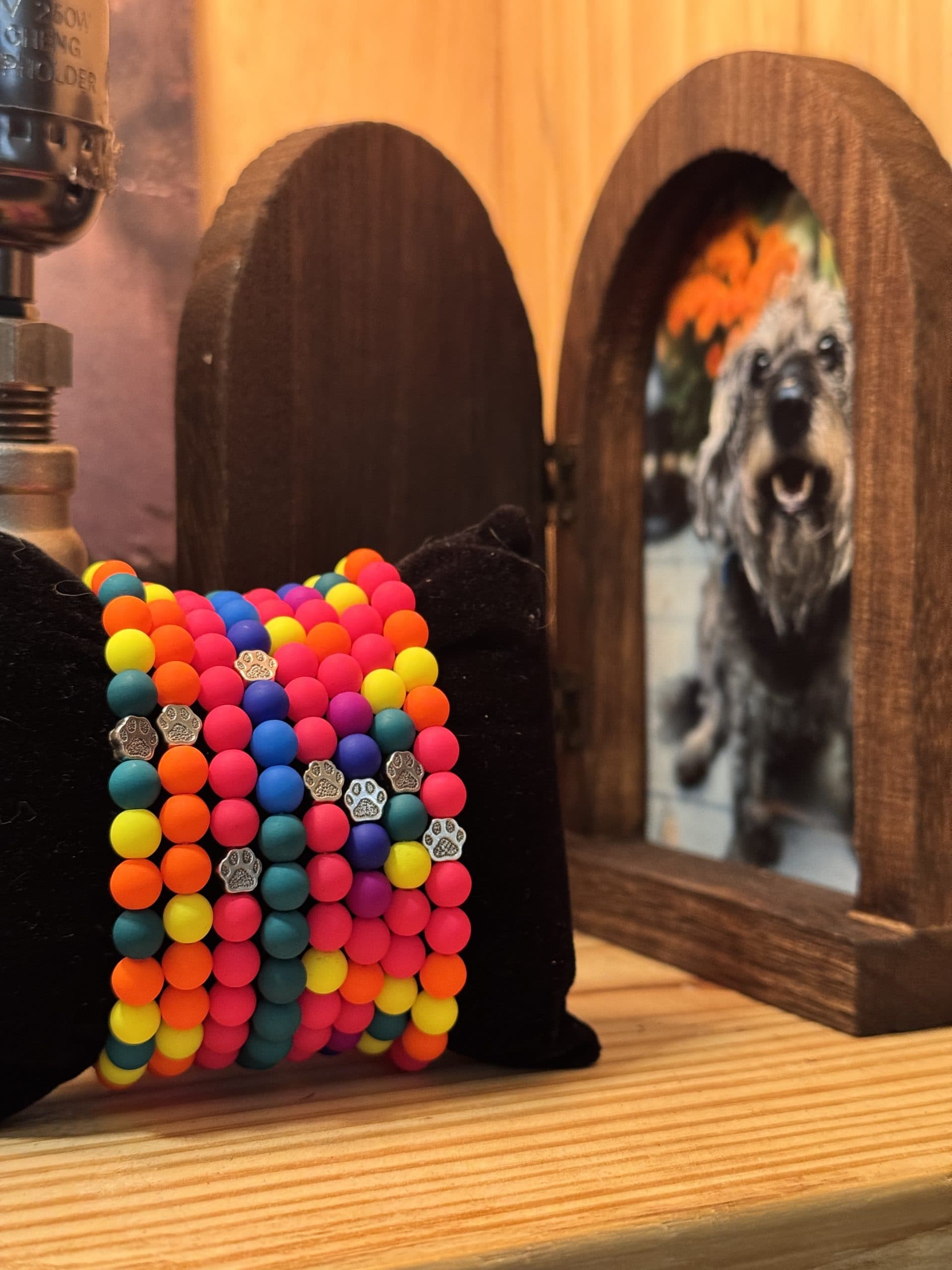 Asheville musician's pop-up jewelry raises funds for animal rescues