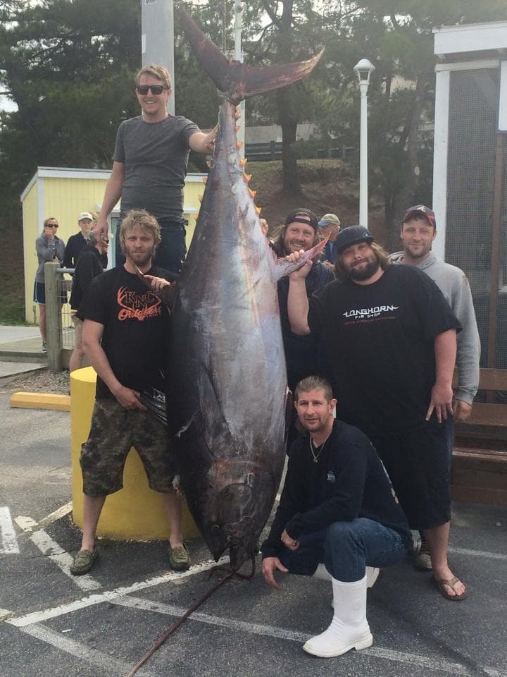 832.6-Pound Atlantic Bluefin Sets Virginia Record for Angler Mike Rogerson