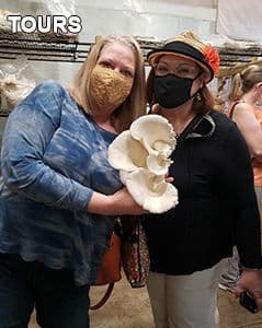 Mushroom Mountain offers state-approved wild mushroom foraging certification course