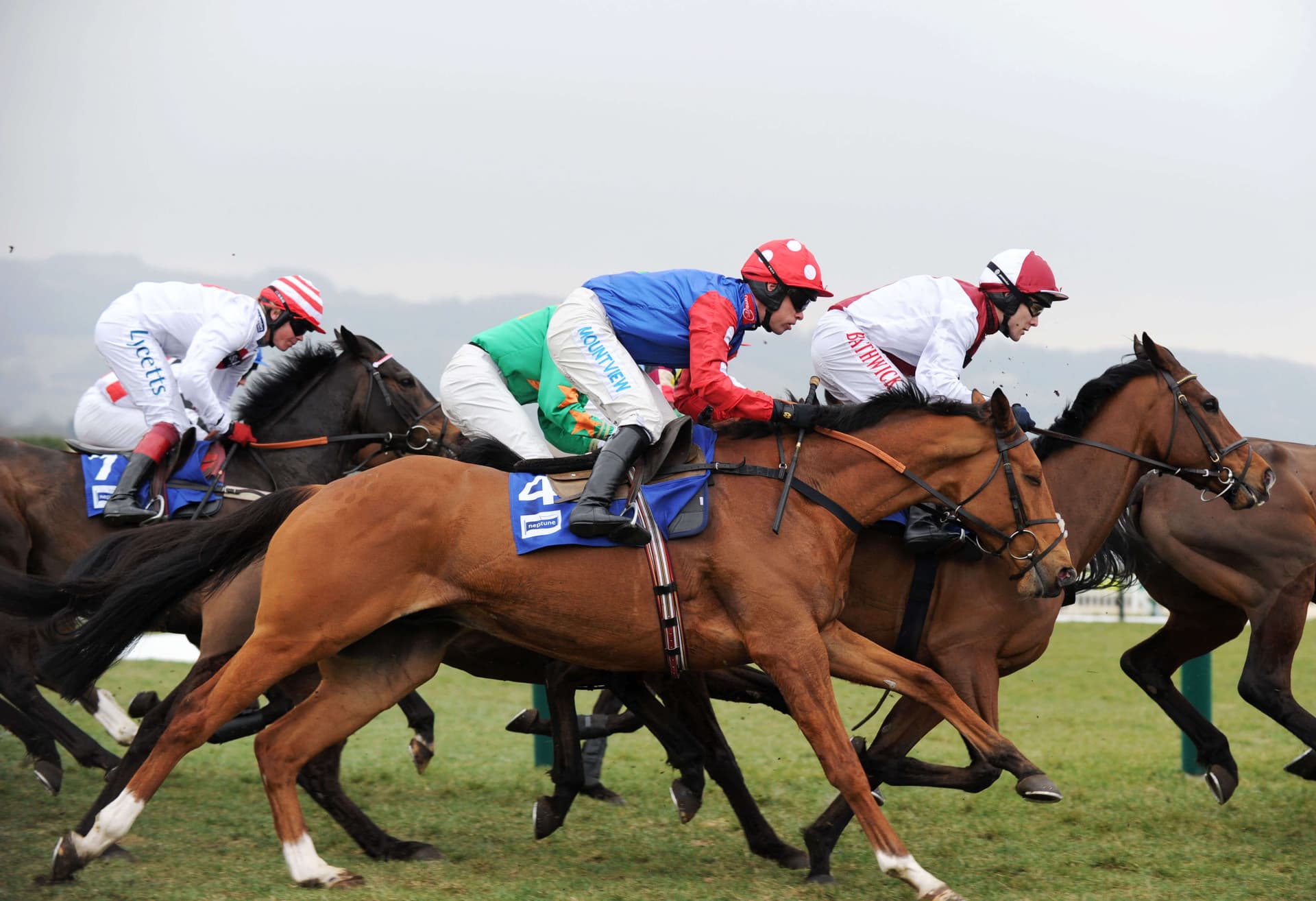 Ireland Lead Great Britain 8-6 After Day Two at Cheltenham Festival